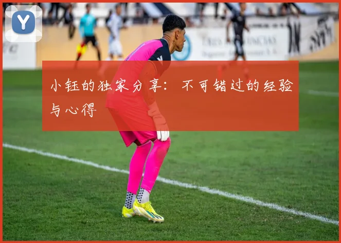 小钰的独家分享:不可错过的经验与心得