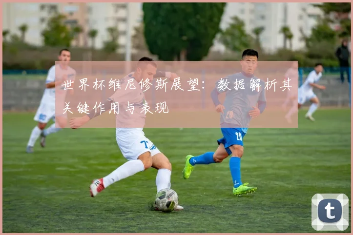 世界杯维尼修斯展望：数据解析其关键作用与表现